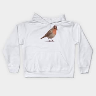 Dapper Robin Kids Hoodie